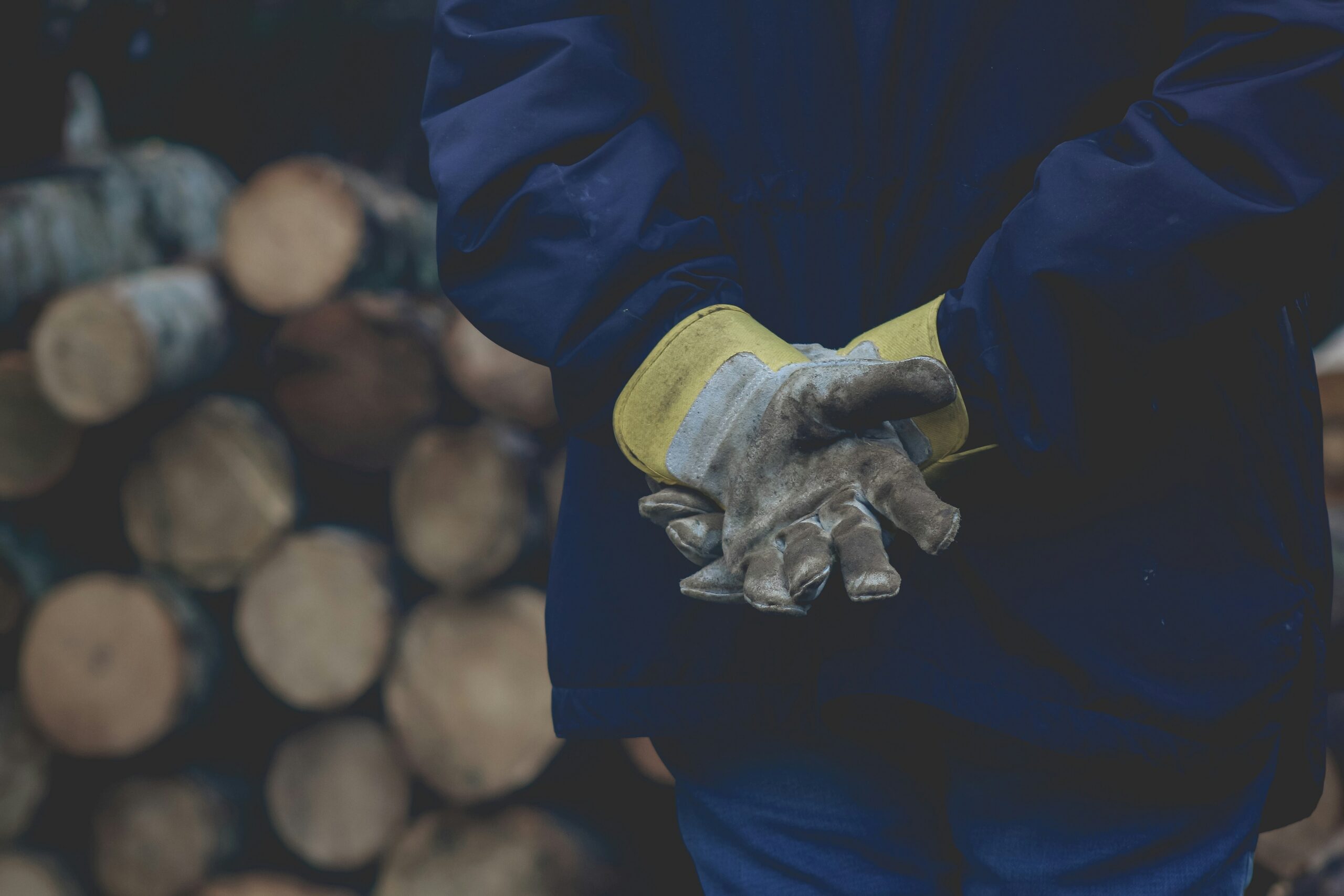 Photo by Jonathan Richard — Sigmund