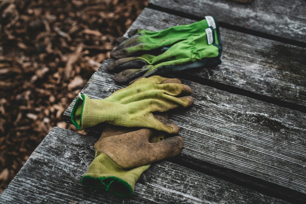 jonathan-kemper-kYl3Yp2hwtQ-unsplash
